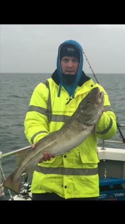 14 lb 3 oz Cod by Unknown