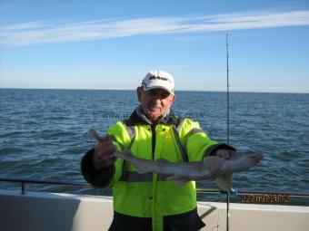 2 lb 1 oz Lesser Spotted Dogfish by Unknown