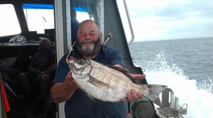 4 lb 6 oz Black Sea Bream by Alan Curtis