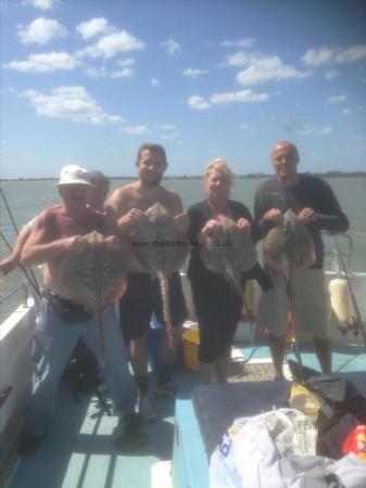 14 lb Thornback Ray by Unknown