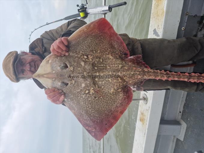 9 lb Thornback Ray by Clive Lord of the Manor