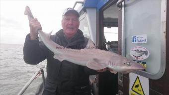 14 lb 4 oz Starry Smooth-hound by Unknown