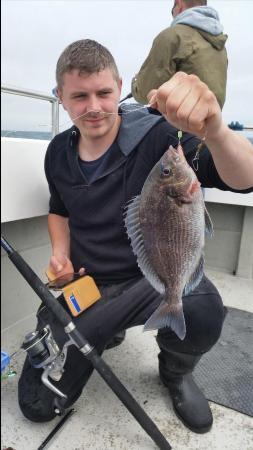 2 lb 2 oz Black Sea Bream by Unknown