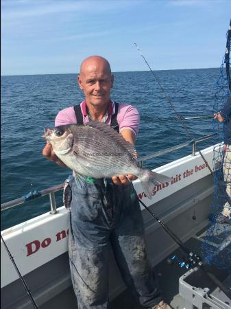 3 lb 8 oz Black Sea Bream by Kev