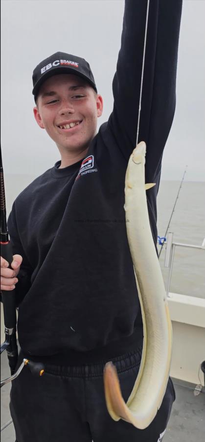 2 lb European Eel by Ethan