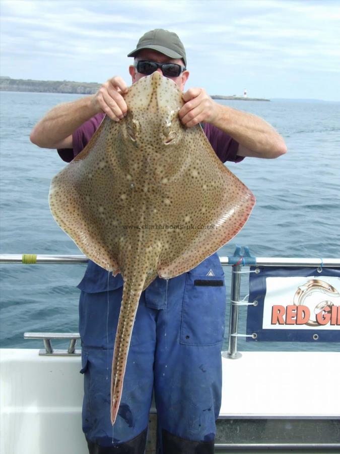 16 lb 8 oz Blonde Ray by Steve Wells