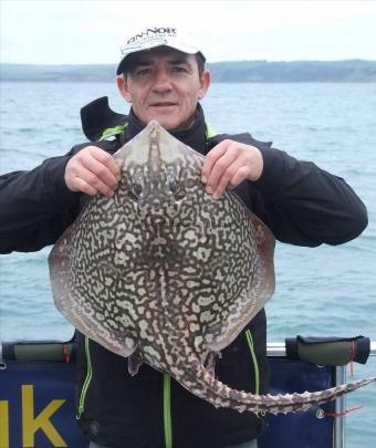 11 lb 3 oz Thornback Ray by Pascal Rommelaere