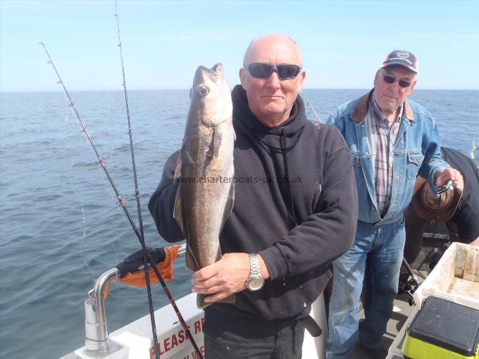 5 lb Pollock by Mike from Norfolk.