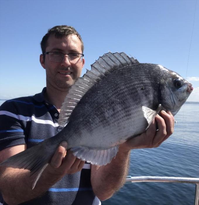 3 lb 4 oz Black Sea Bream by Mark