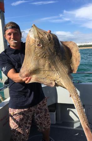 2 lb Undulate Ray by Jay