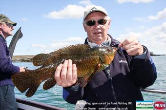 4 lb Ballan Wrasse by Tony