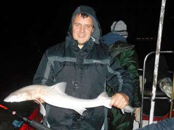 5 lb 5 oz Starry Smooth-hound by Dan