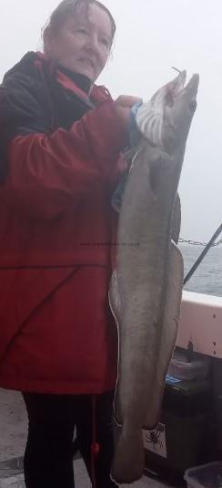 13 lb Ling by Unknown