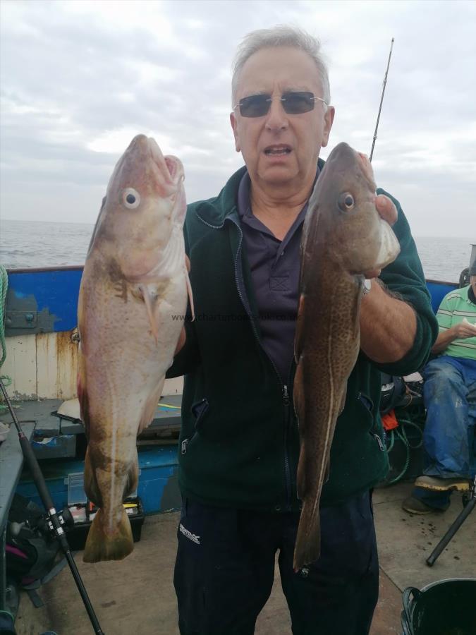 5 lb 12 oz Cod by Unknown