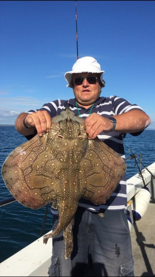 12 lb Undulate Ray by Tony Dunn