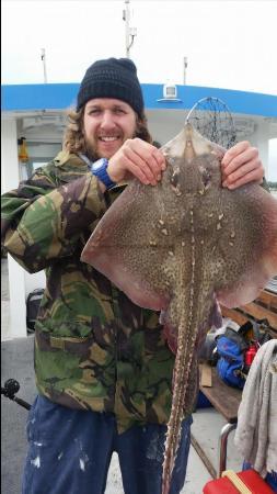 6 lb Thornback Ray by nibbley