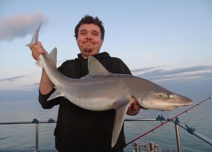 18 lb 8 oz Smooth-hound (Common) by Unknown