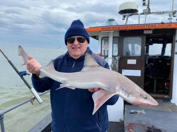 8 lb Smooth-hound by Unknown