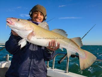 10 lb 8 oz Cod by Jimmy Laban