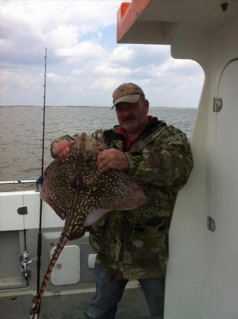 11 lb Thornback Ray by Steve