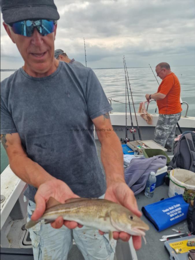 1 lb 3 oz Cod by Mick