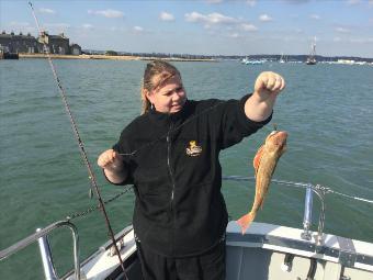 1 lb Tub Gurnard by Unknown