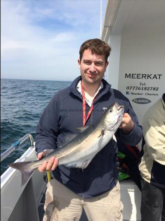 4 lb 6 oz Coalfish (Coley/Saithe) by Jason Perry