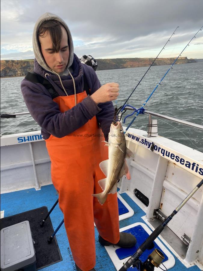 2 lb 6 oz Cod by Fergus.