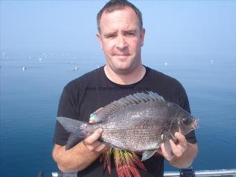 3 lb Black Sea Bream by Simon