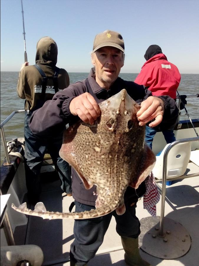 2 oz Thornback Ray by Unknown