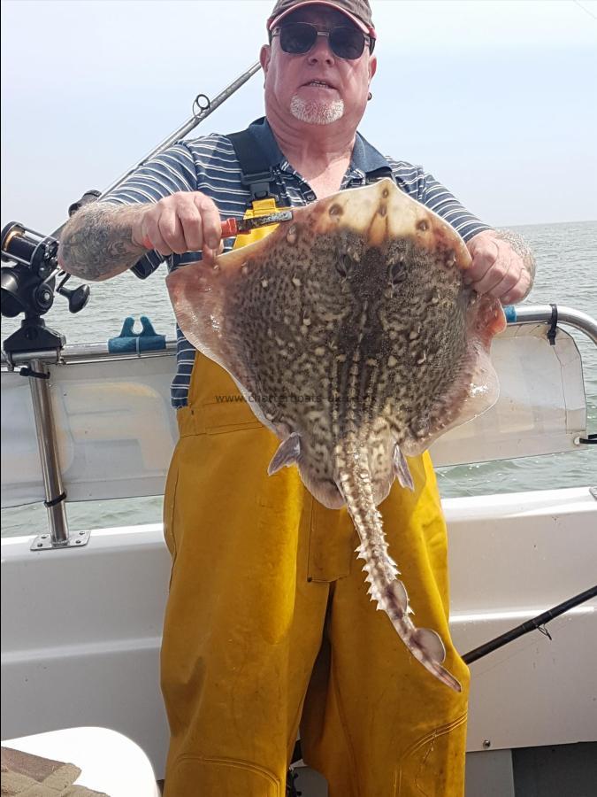 6 lb Thornback Ray by Dave Jones