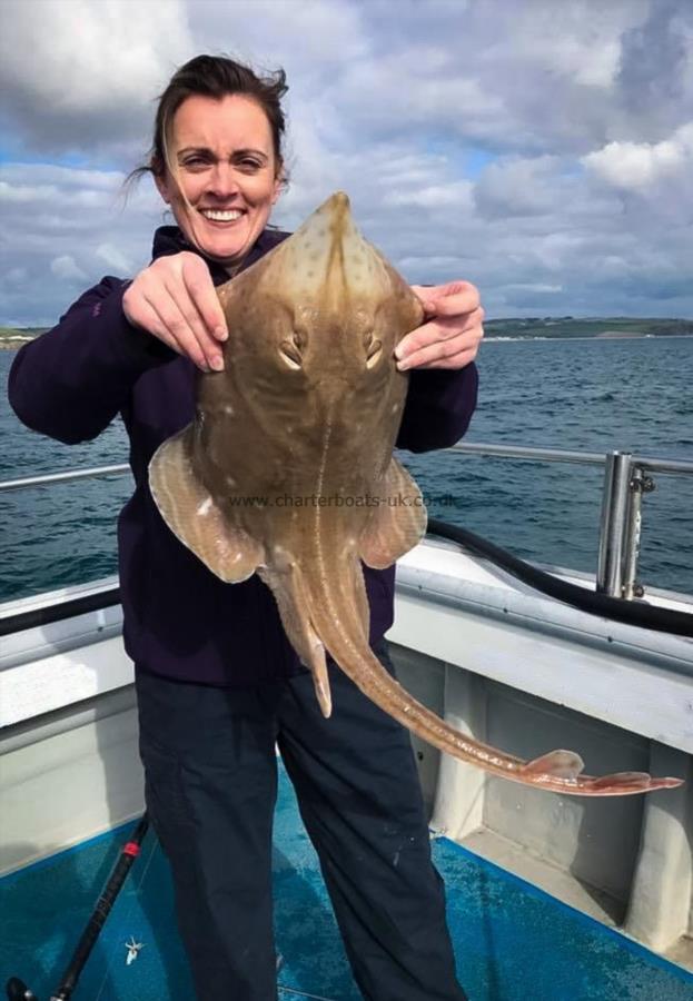 7 lb Small-Eyed Ray by Unknown
