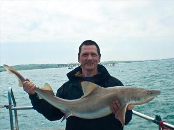 24 lb 12 oz Starry Smooth-hound by John Settle