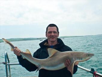 24 lb 12 oz Starry Smooth-hound by John Settle