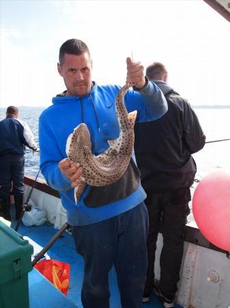 6 lb Bull Huss by Steve Spotswood