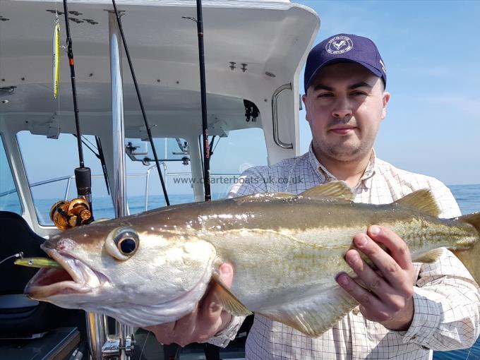 6 lb 13 oz Pollock by Mike