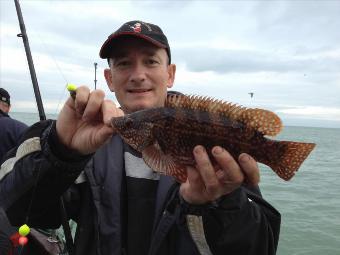 1 lb 8 oz Ballan Wrasse by Nigel