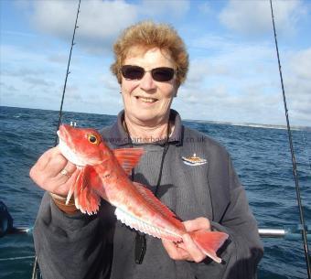 2 lb Red Gurnard by Denise Youngs