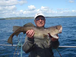 10 lb 8 oz Cod by Mr Chandler