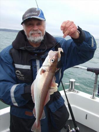 3 lb Whiting by Ian Youngs
