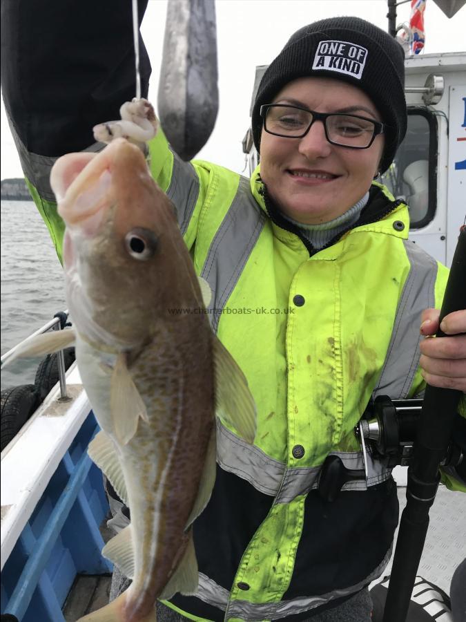 2 lb Cod by Vesma from hull cod catching