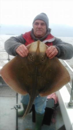 14 lb Blonde Ray by reg