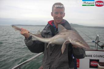 14 lb Starry Smooth-hound by Nick