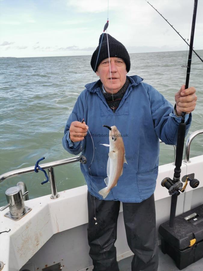 1 lb 5 oz Whiting by Adrian