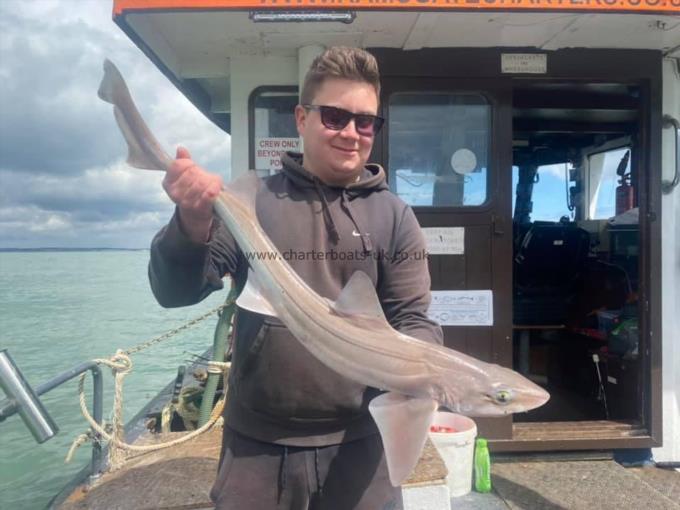 7 lb Smooth-hound by Unknown