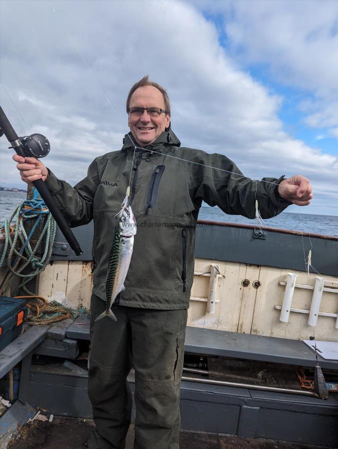 12 oz Mackerel by Unknown