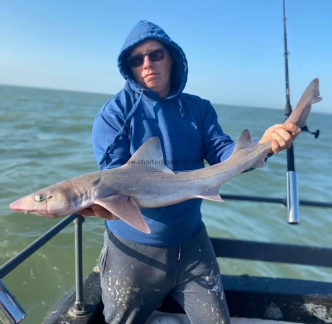 9 lb Smooth-hound by Unknown