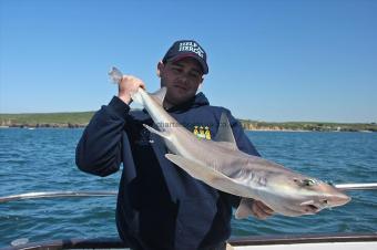 14 lb Starry Smooth-hound by Paul