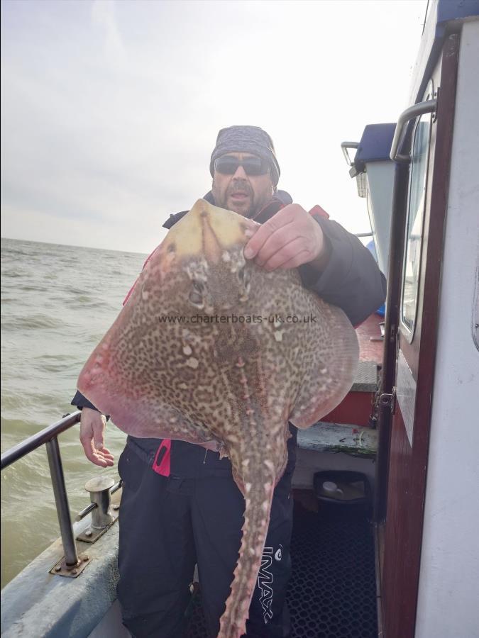 13 lb Thornback Ray by Archie