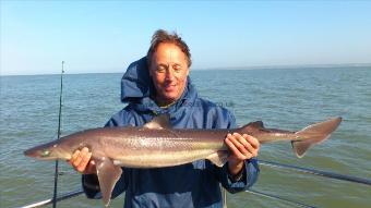 11 lb 8 oz Spurdog by john cushion SV Lads